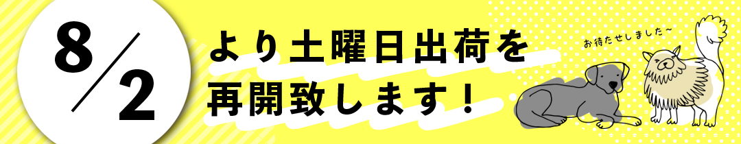 8月2日より土曜日出荷を再開いたします!