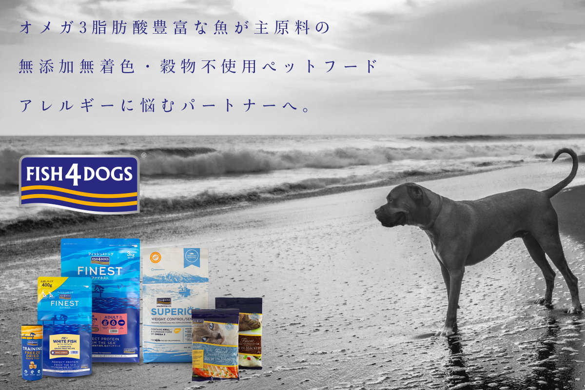 FISH 4 DOG CAT フィッシュ４　オメガ３脂肪酸豊富な魚が主原料の無添加無着色・穀物不使用ペットフード。アレルギーに悩むパートナーへ。