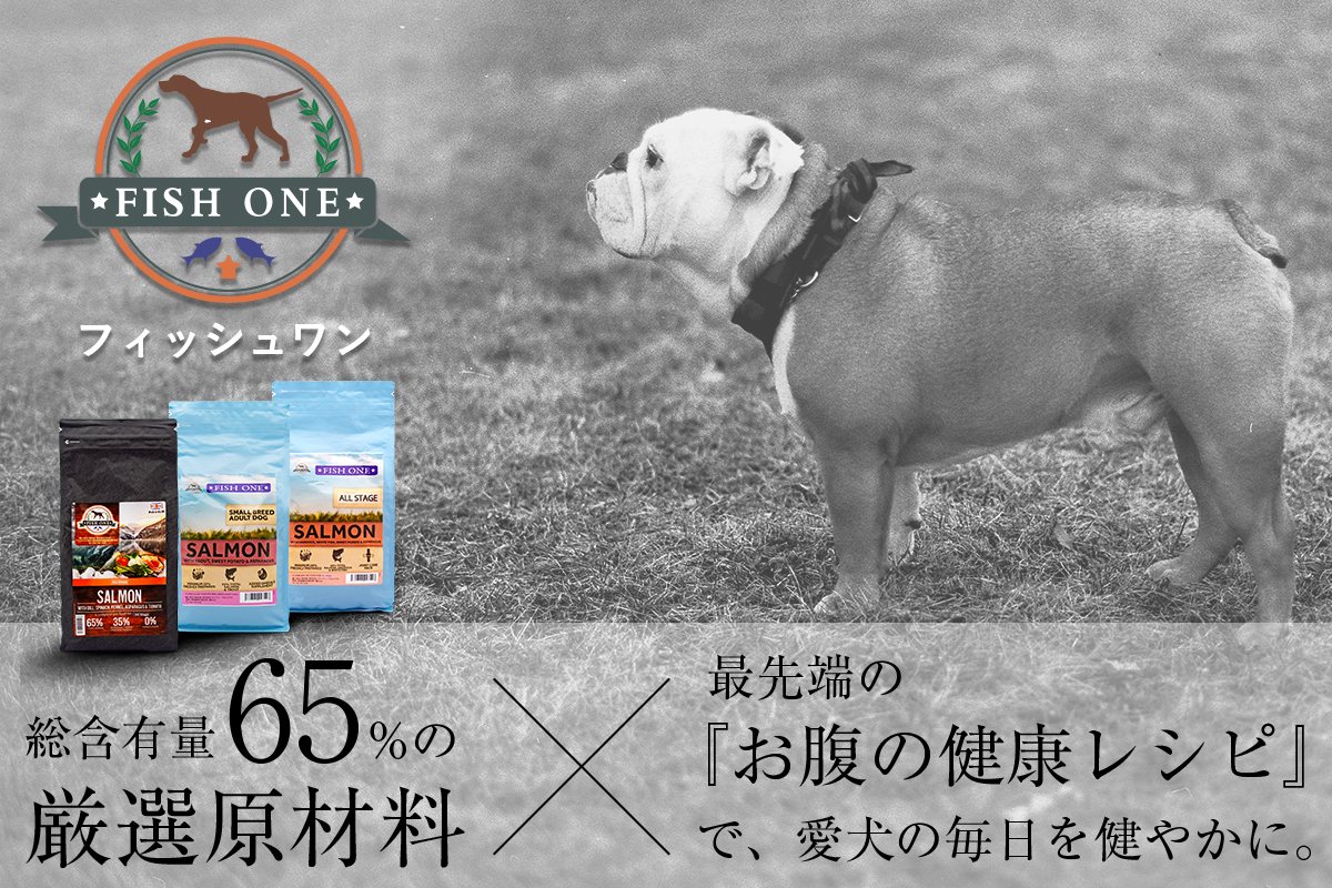 FISH ONE フィッシュワン