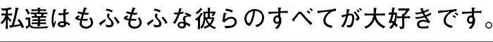 わたしたちはもふもふな彼らが大好きです