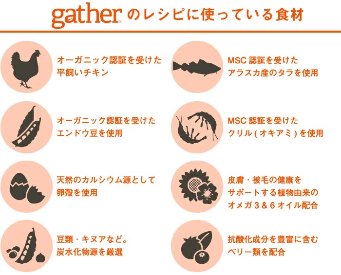 gatherのレシピに使っている食材