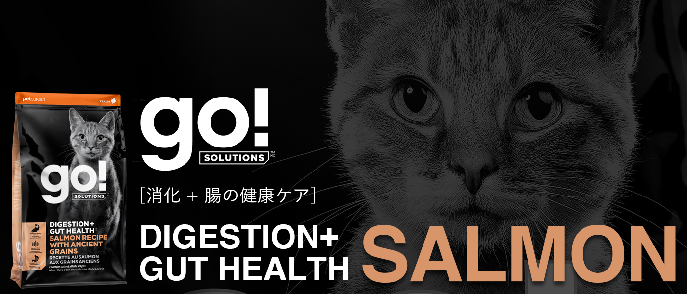 GO! SOLUTIONS 消化+腸の健康ケア グレインフリーサーモンレシピ キャットフード