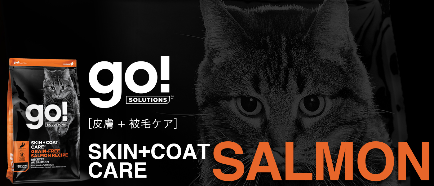 GO! SOLUTIONS 皮膚+被毛ケア サーモンレシピ キャットフード