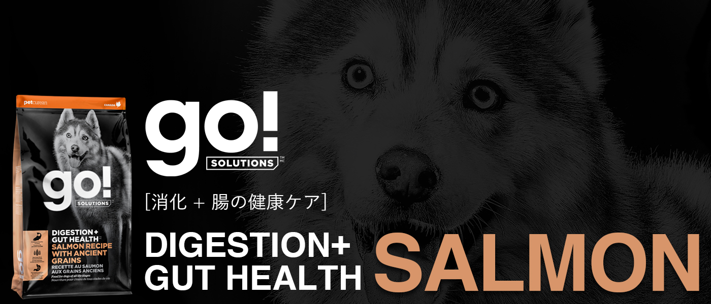 GO! SOLUTIONS　ゴー　消化＋腸の健康ケア　サーモンレシピ　ドッグフード