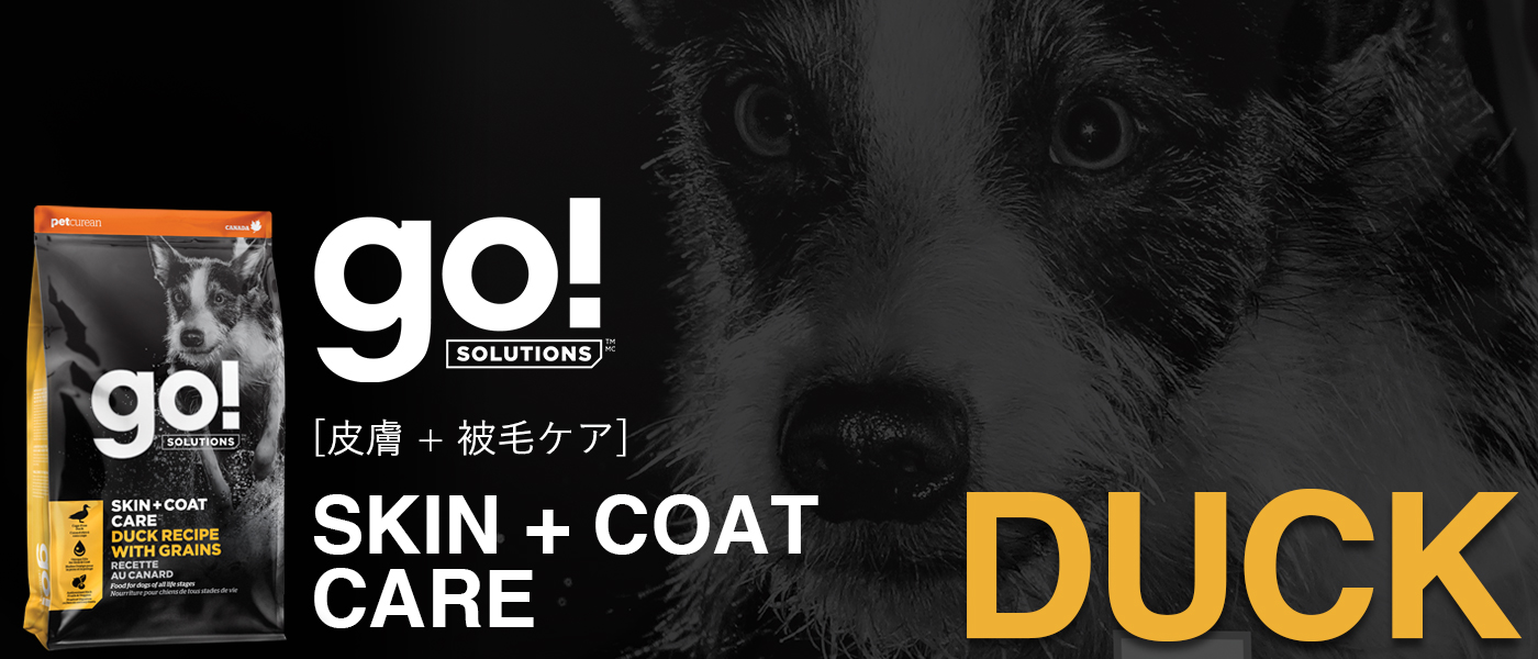 GO! SOLUTIONS ゴー 皮膚+被毛ケア ダックレシピ ドッグフード