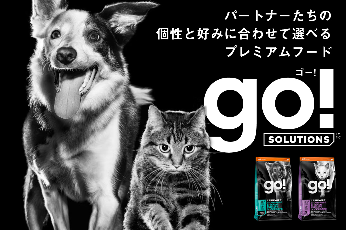 GO! SOLUTION ゴー