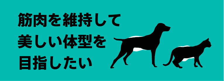 筋肉を維持して美しい体型を目指したい