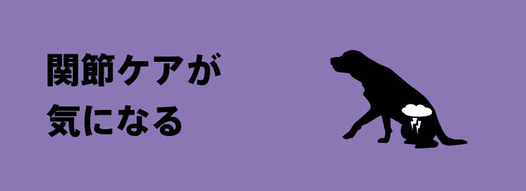 関節ケアが気になる