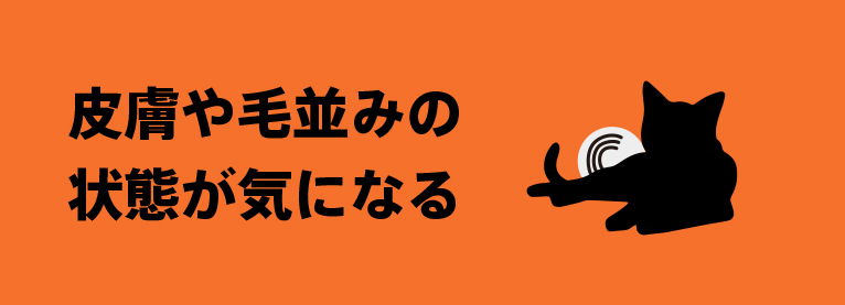 皮膚や毛並みの状態が気になる