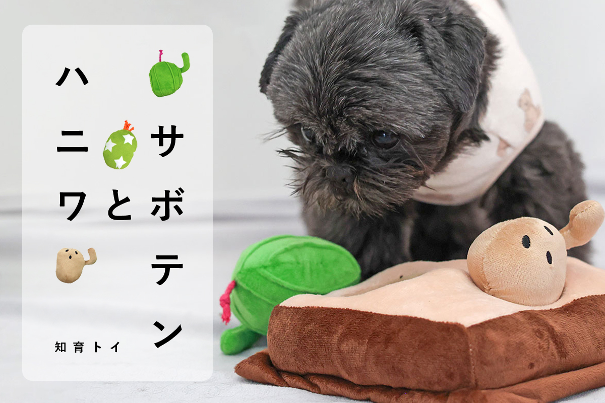 iDog 知育おもちゃ サボテンとハニワ