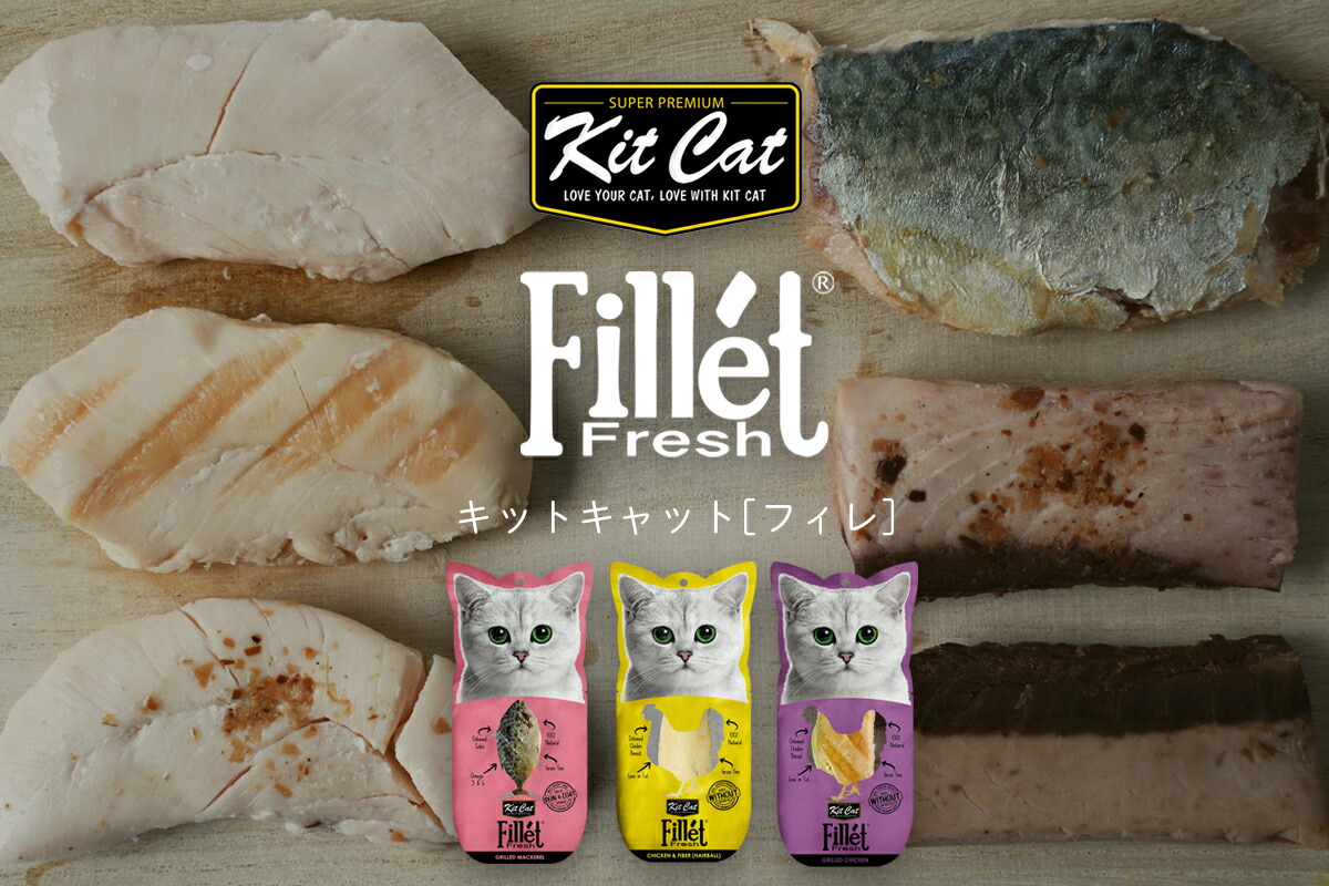 キットキャット フィレ