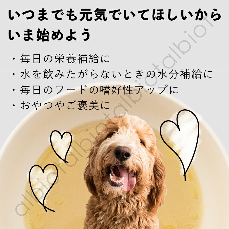 KUUT いつまでも元気でいてほしいから いま始めよう　毎日の栄養補給に　水を飲みたがらないときの水分補給に　毎日のフードの嗜好性アップに　おやつやご褒美に