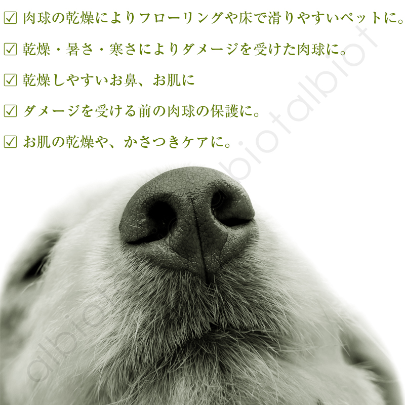 LENEEM レニーム PAWケア 肉球の乾燥によりフローリングや床で滑りやすいペットに。感想・暑さ・寒さによりダメージを受けた肉球に。乾燥しやすいお鼻、お肌に。ダメージを受ける前の肉球の保護に。お肌の乾燥やかさつきケアに。
