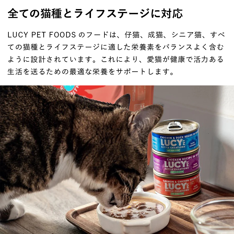 全ての猫種とライフステージに対応　LUCY PET FOODSのフードは、仔猫、成猫、シニア猫、すべての猫種とライフステージに適した栄養素をバランスよく含むように設計されています。これにより、愛猫が健康で活力ある生活を送るための最適な栄養をサポートします。