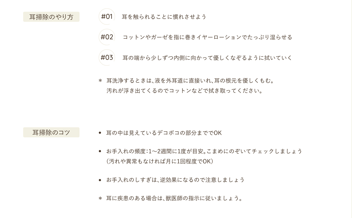 耳掃除のやり方　耳掃除のコツ