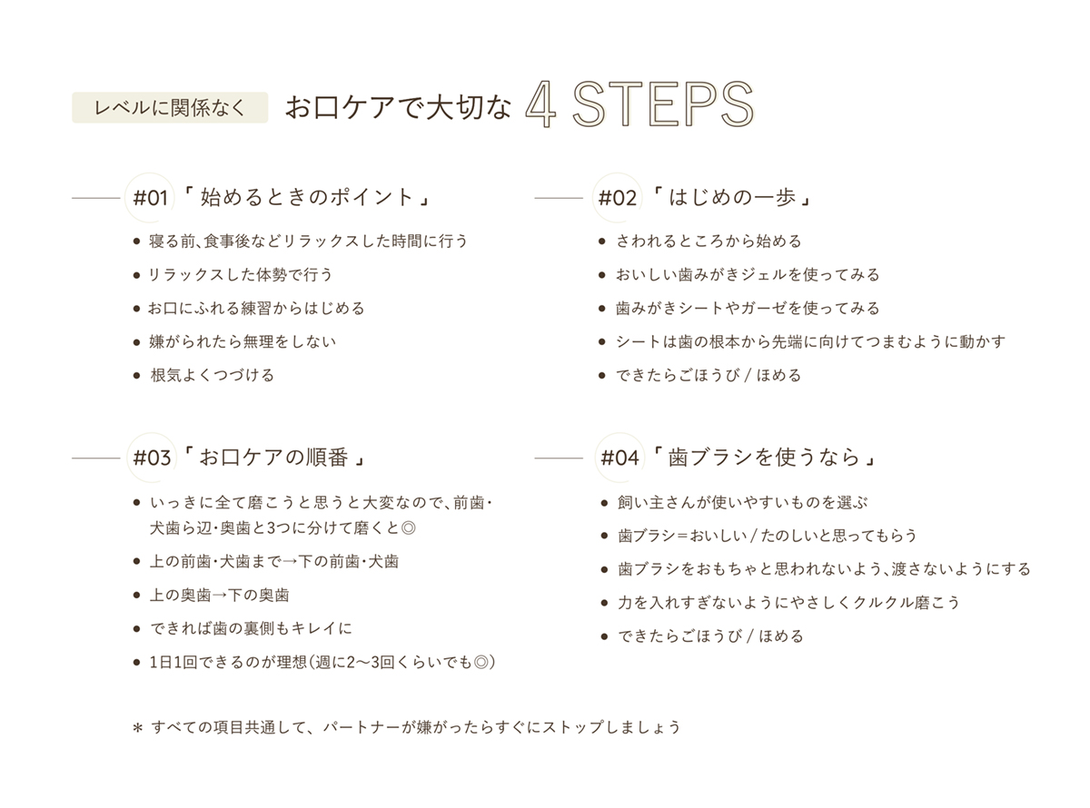 レベルに関係なくお口ケアで大切な4STEPS