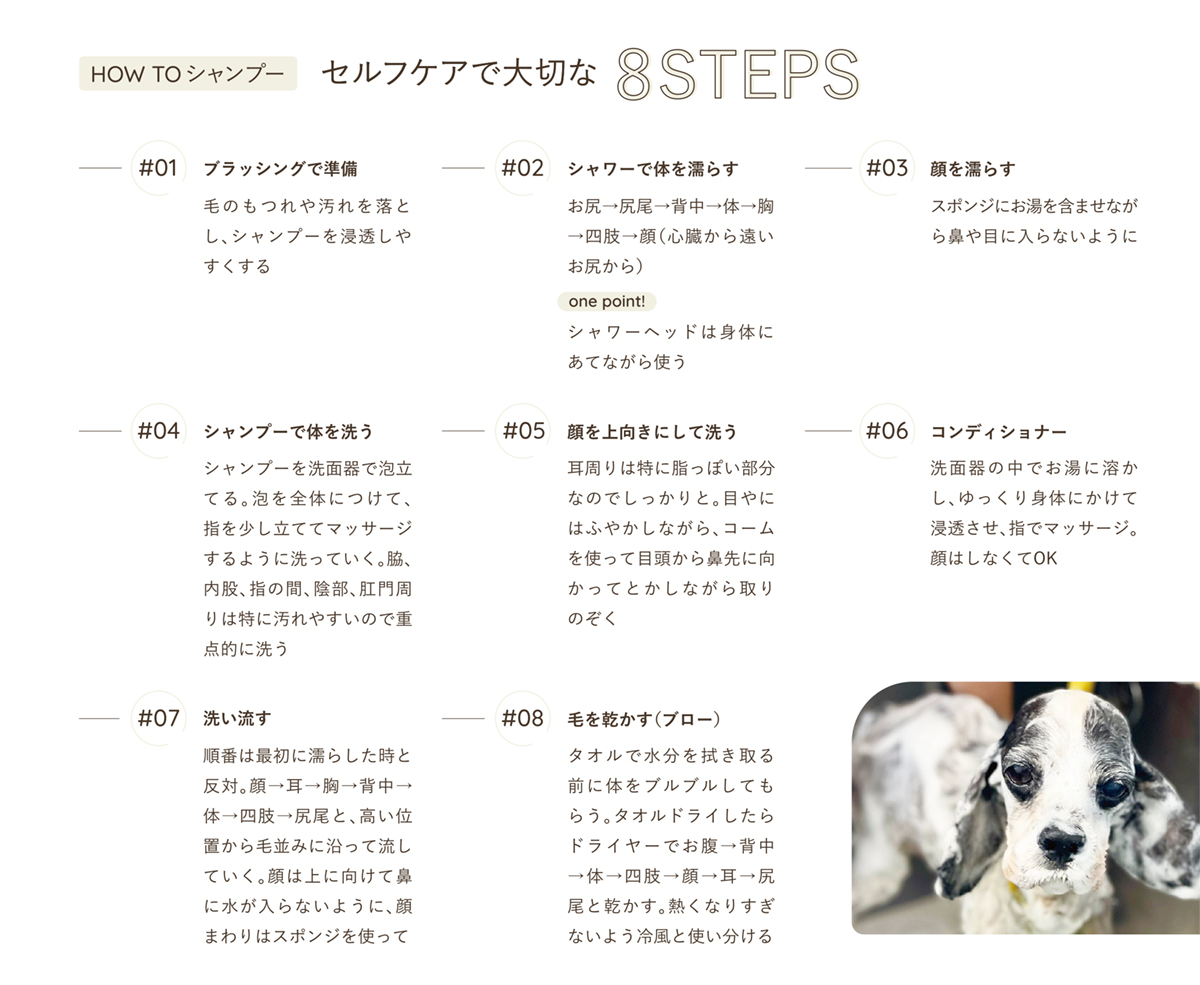 HOW TO シャンプー セルフケアで大切な8STEPS