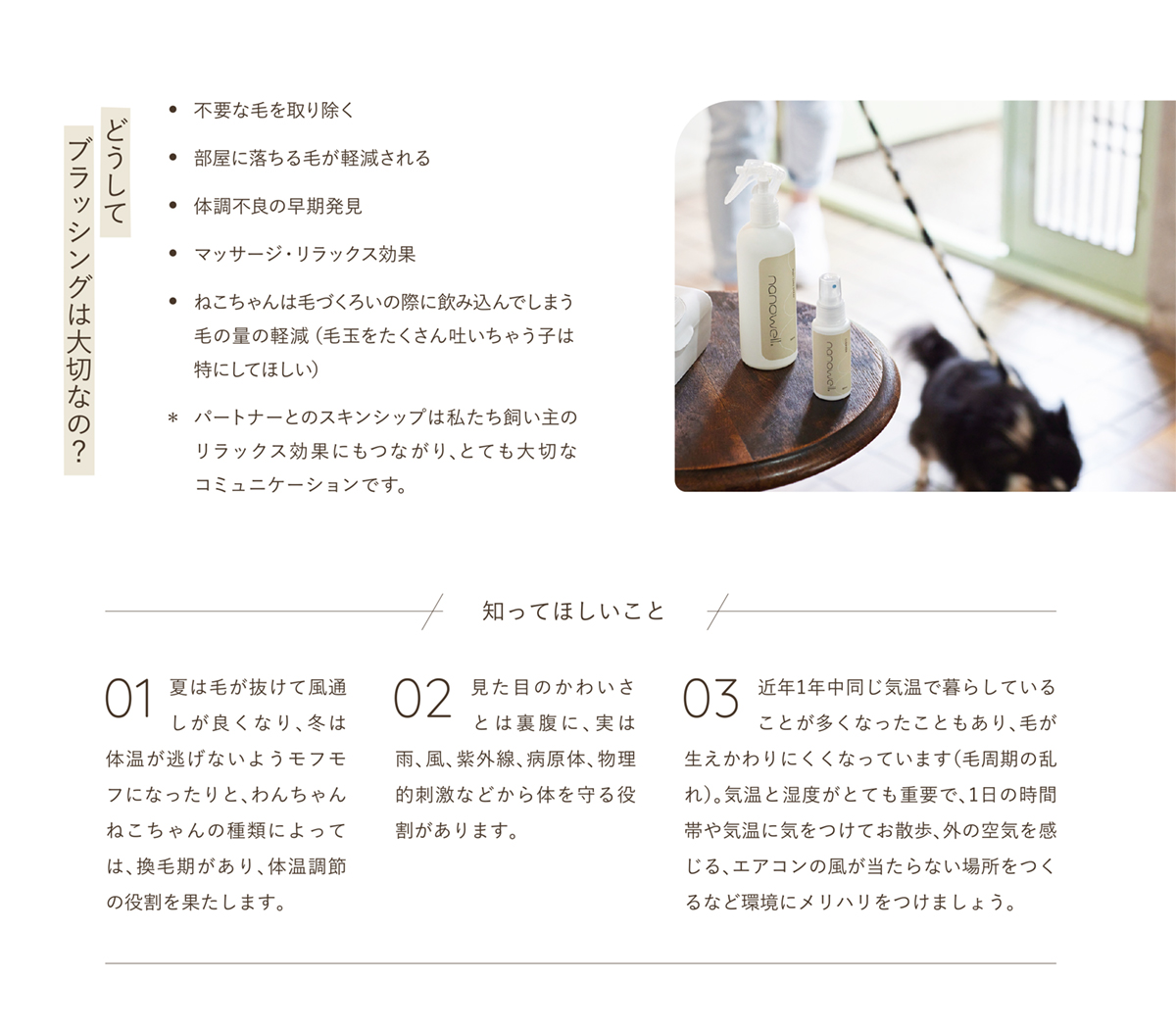 どうしてブラッシングは大切なの?