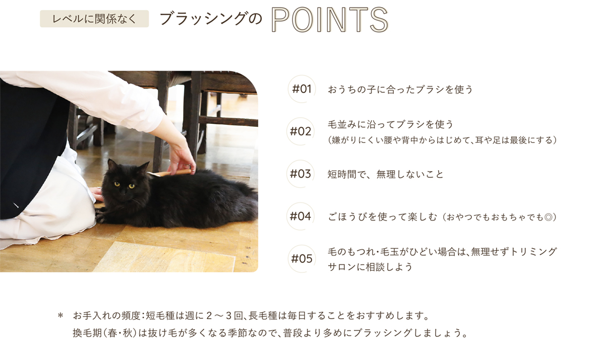 ブラッシングのPOINTS #01おうちの子に合ったブラシを使う #02毛並みに沿ってブラシを使う #3短時間で、無理しないこと #04ごほうびを使って楽しむ #05毛のもつれ・毛玉がひどい場合は、無理説トリミングサロンに相談しよう