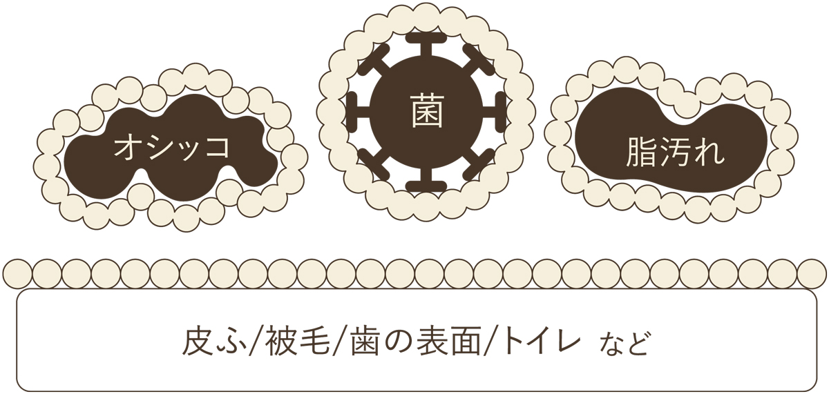 ニオイの元となる菌や汚れ