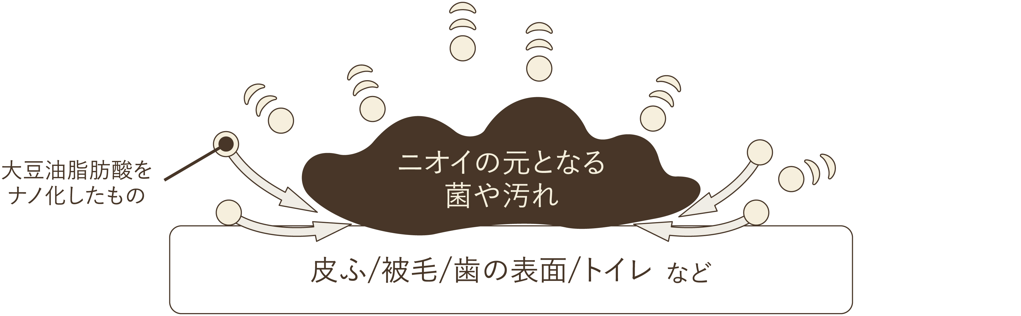 ニオイの元となる菌や汚れ