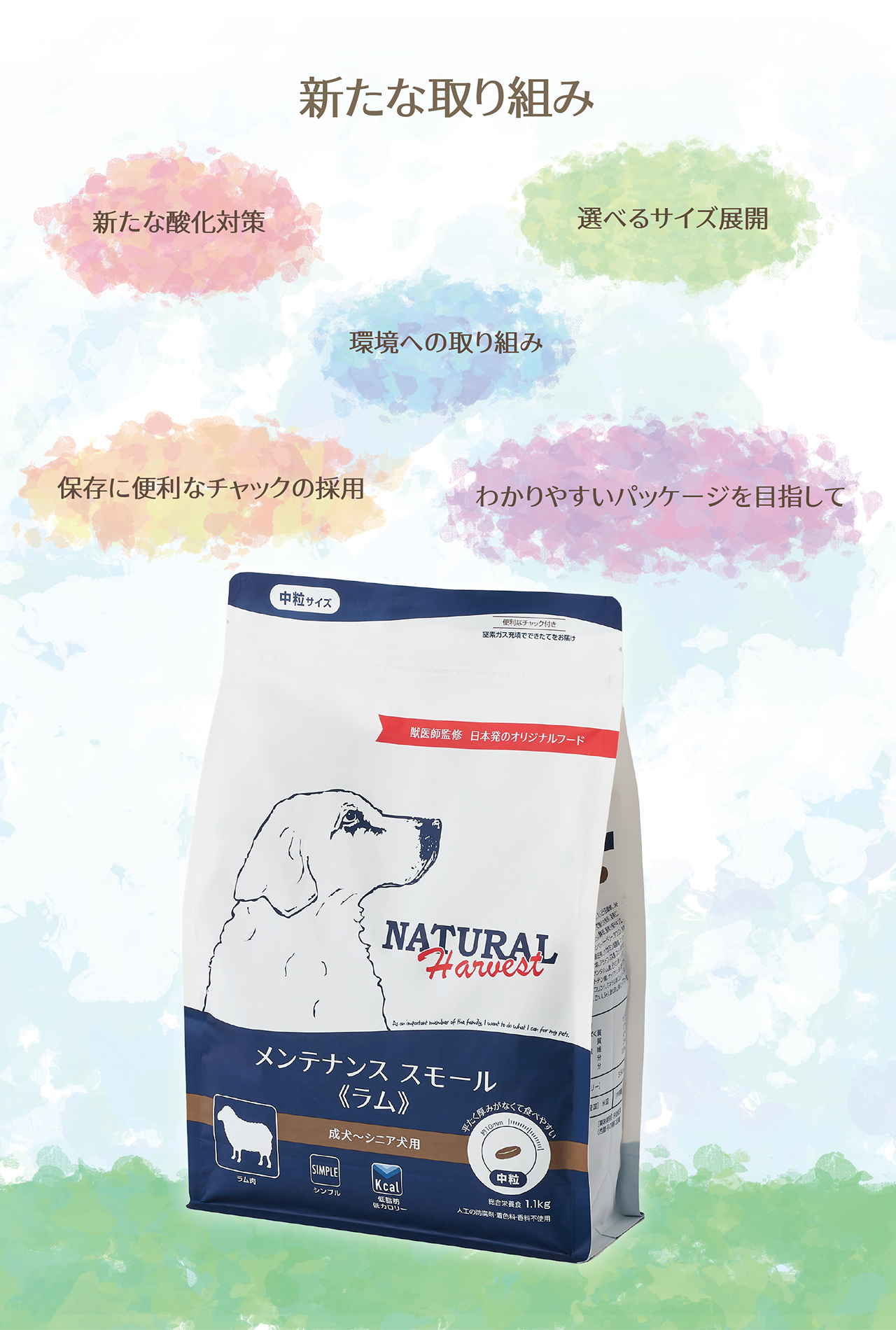 新たな取り組み