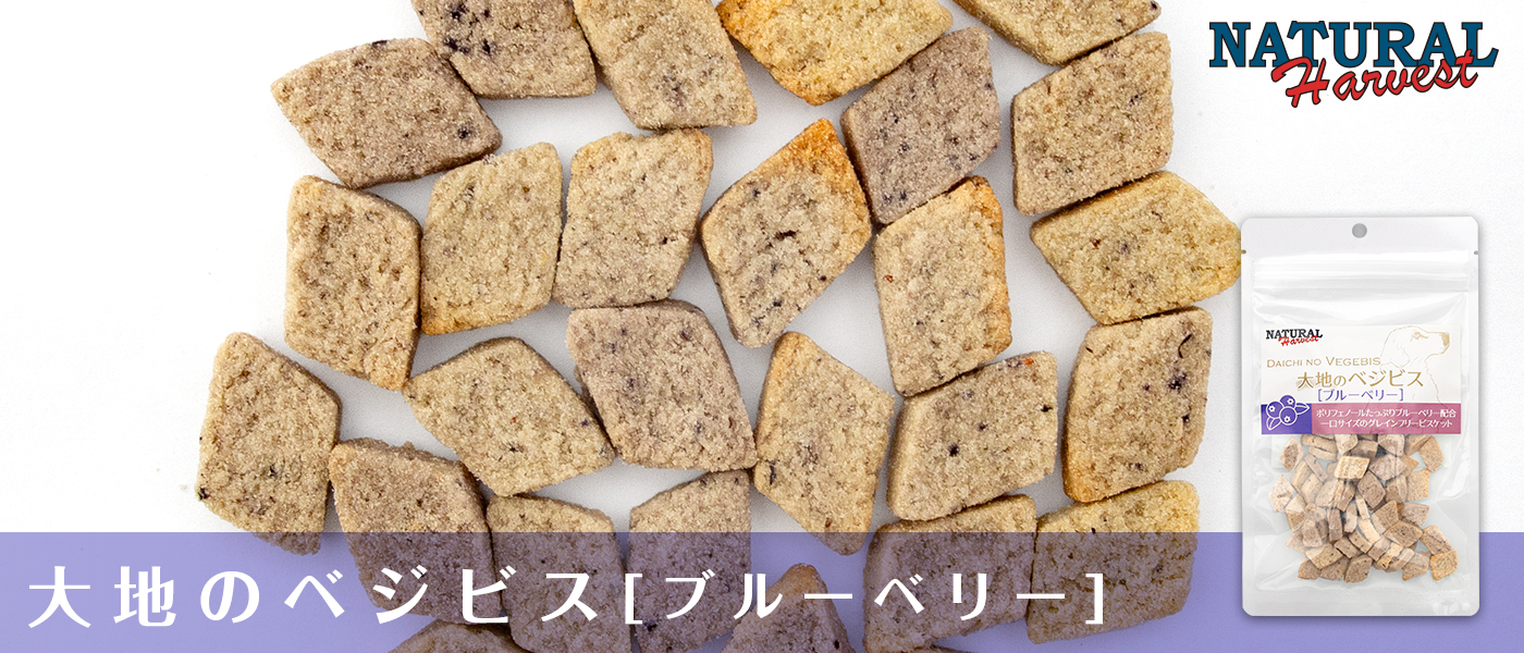 ナチュラルハーベスト ベジビス ブルーベリー