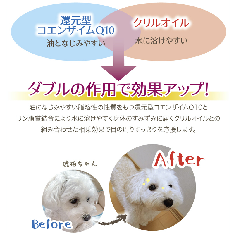 還元型コエンザイムQ10とクリルオイルのダブルの作用で効果アップ!