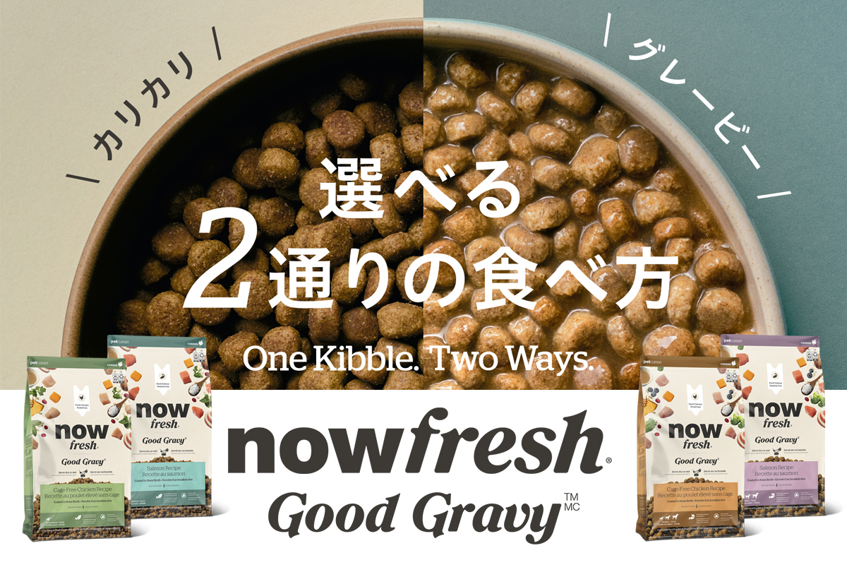 NOW FRESH ナウフレッシュ　選べる2通りの食べ方　グッドグレービードッグフード