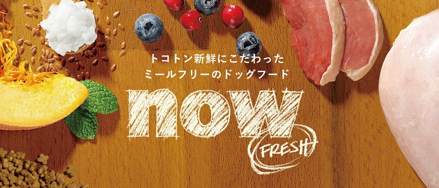 now fresh ナウフレッシュ グレインフリー