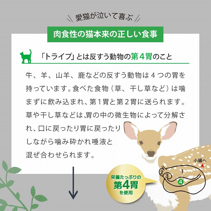 愛猫が泣いて喜ぶ肉食性の猫本来の正しい食事　「トライプ」とは反すう動物の第４胃のこと