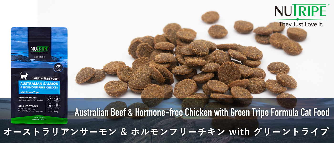 NUTRIPE ニュートライプ ドライ キャットフード オーストラリアンサーモン&ホルモンフリーチキンwithグリーントライプ