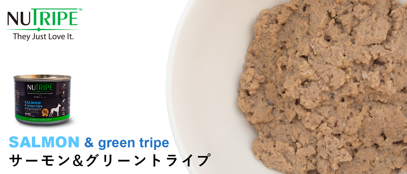 ニュートライプ　フィット　サーモン＆グリーントライプ