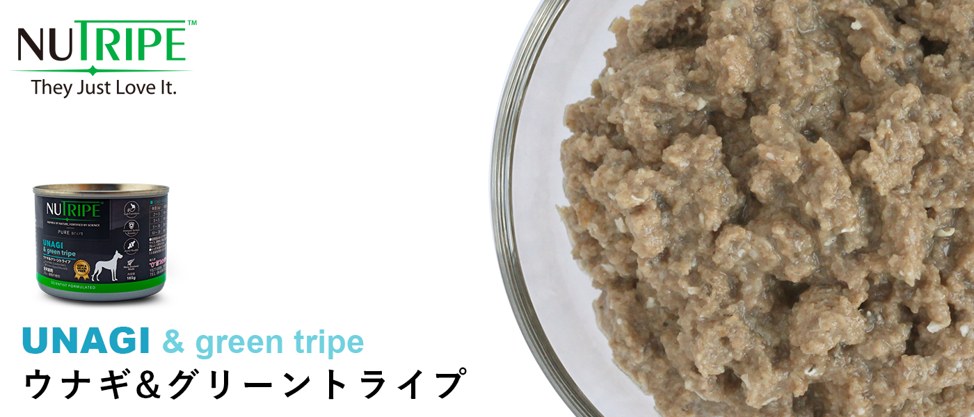 NUTRIPE ニュートライプ ウナギ&グリーントライプ缶 ウェットフード
