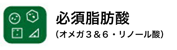 オメガ３ オメガ６ リノール酸などの必須脂肪酸