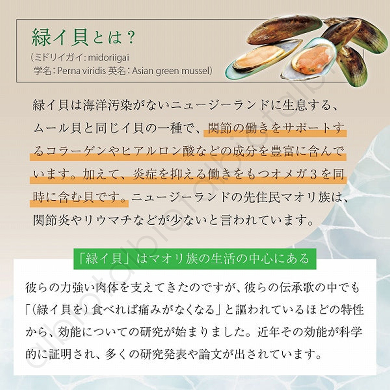 緑イ貝とは?