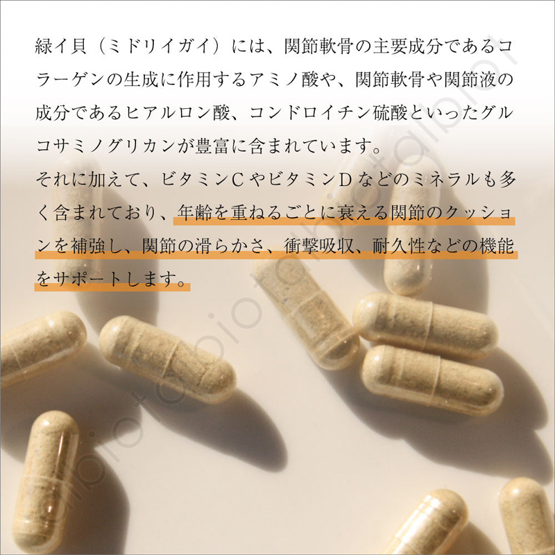 年齢を傘萎えるごとに衰える関節のクッションを補強し、関節の滑らかさ、衝撃吸収、耐久性などの機能をサポートします。