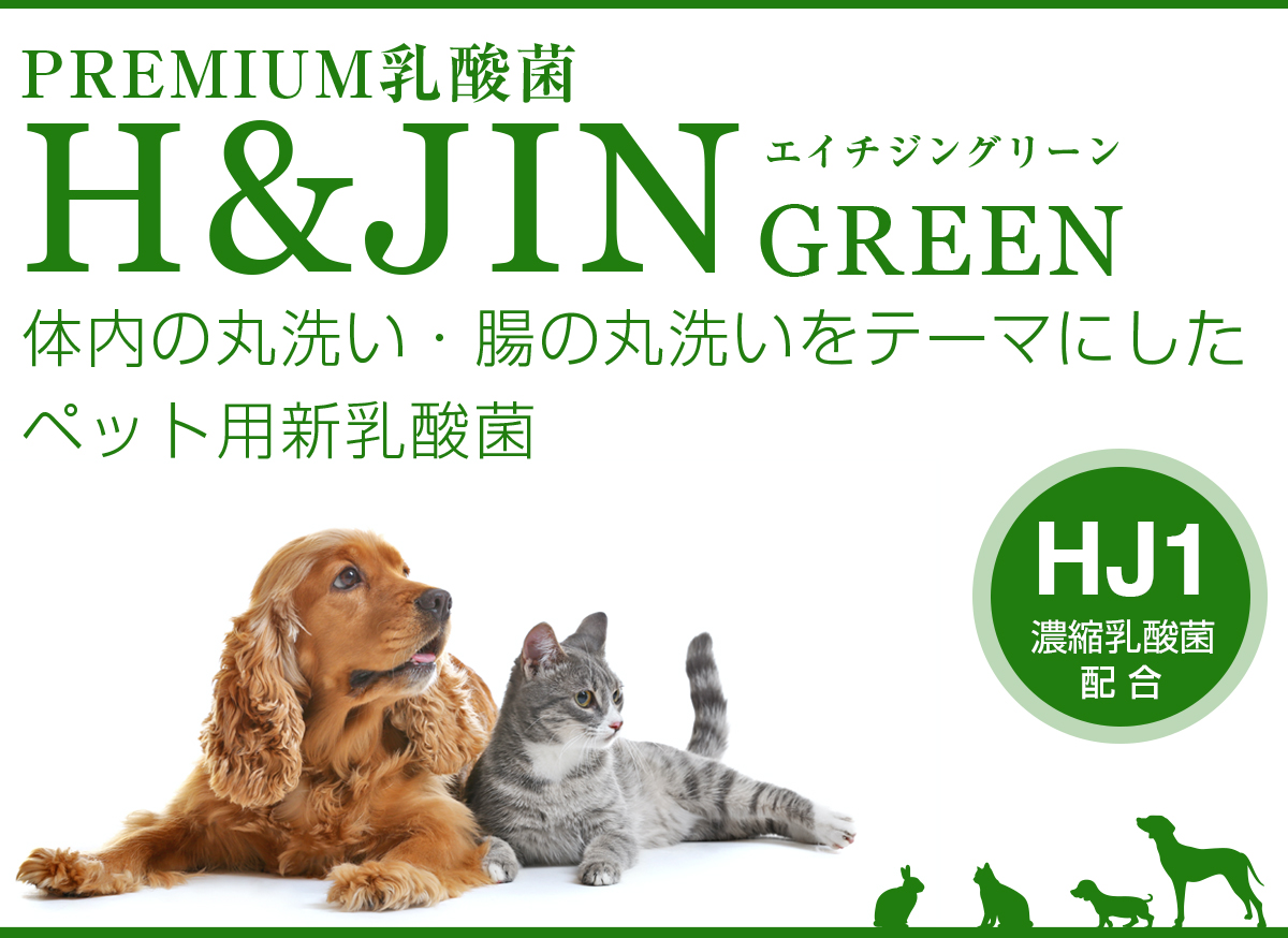 H&JIN HJ1濃縮乳酸菌配合 エイチジン グリーン ペット用新乳酸菌
