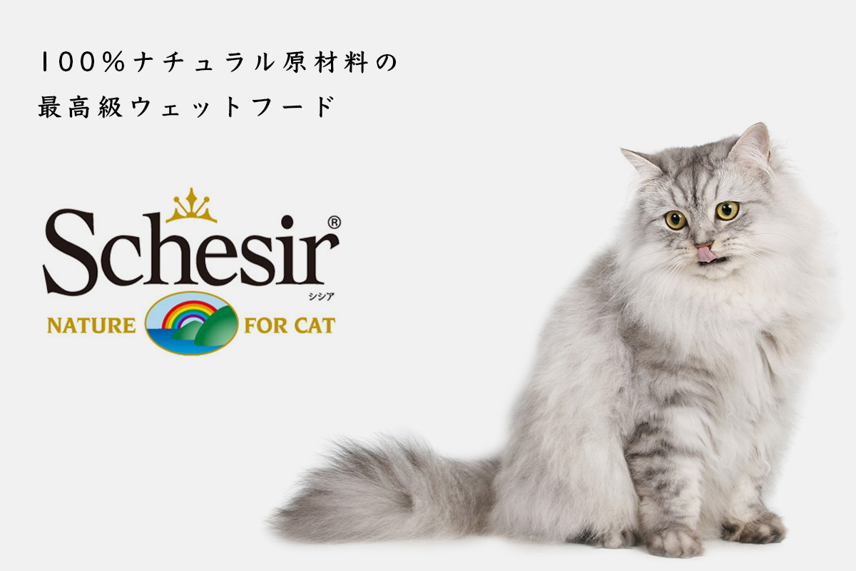 Schesir シシア
