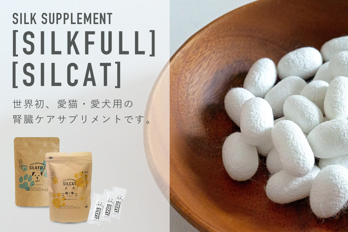SILKFULL（シルクフル） / SILCAT（シルキャット）