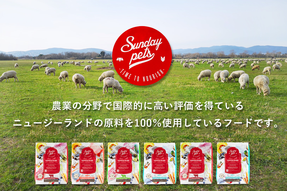 Sunday Pets サンデーペッツ