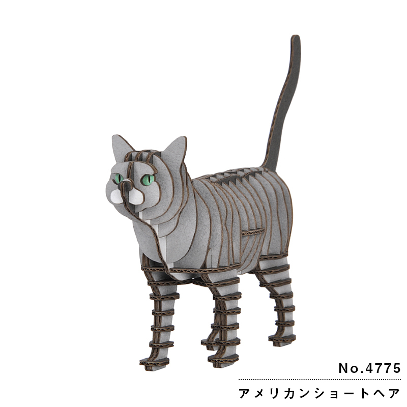 アメリカンショートヘアー