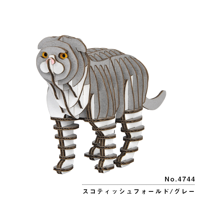 スコティッシュフォールド・グレー