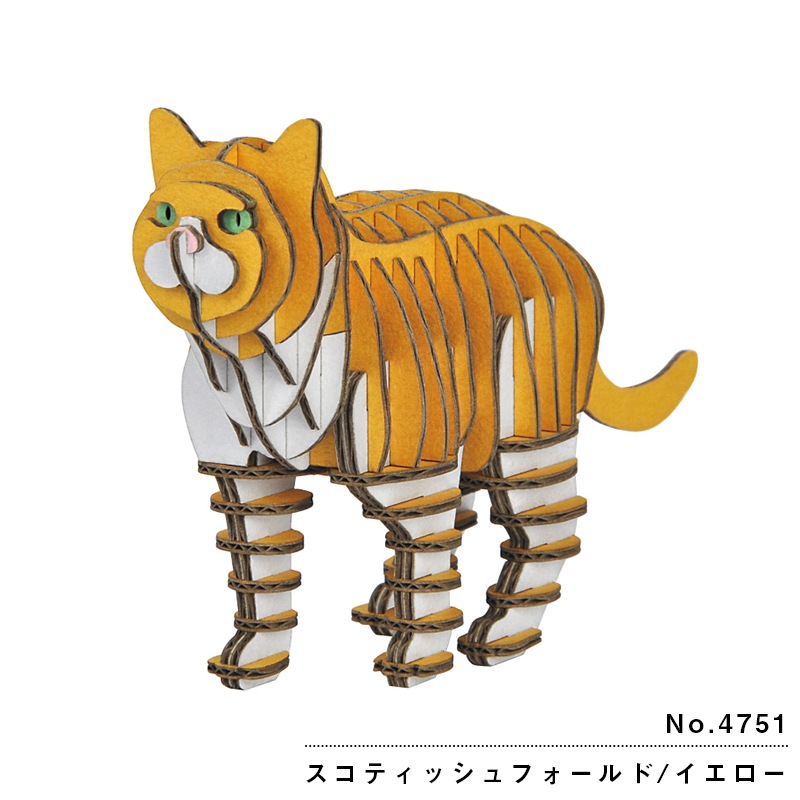 スコティッシュフォールド・イエロー